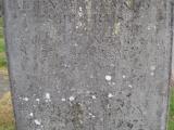 image of grave number 365940